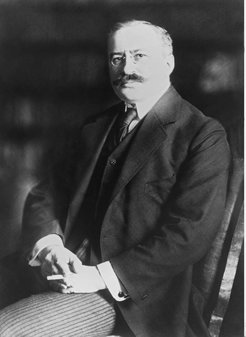 Theodor Wolff